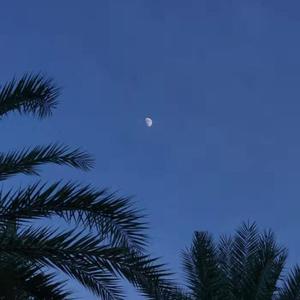 欧美肥胖老太交性视频
