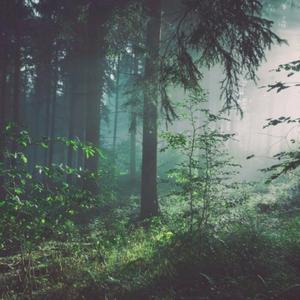 欧美肥胖老太交性视频
